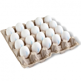 Яйцо куриное пищевое столовое высшей категории