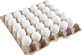 Отборное ЧЕПФА